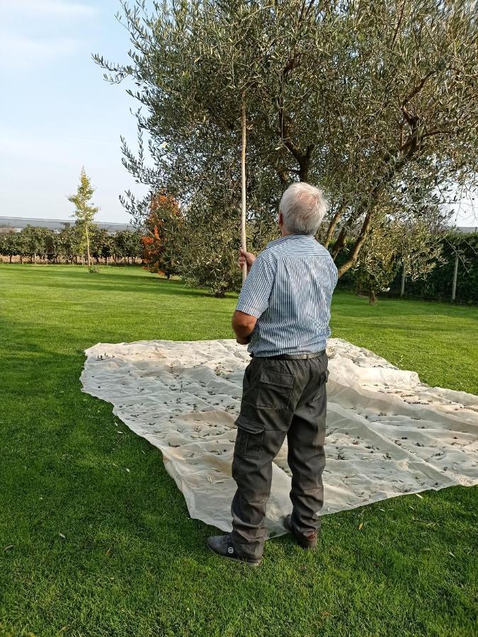 Villa Borgo D'Asolo San Vito Di Altivole Esterno foto