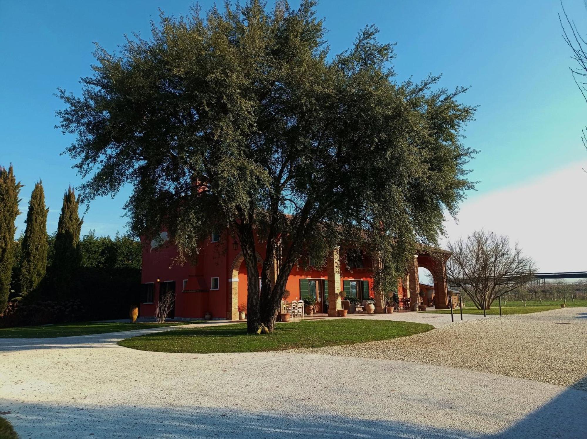Villa Borgo D'Asolo San Vito Di Altivole Esterno foto