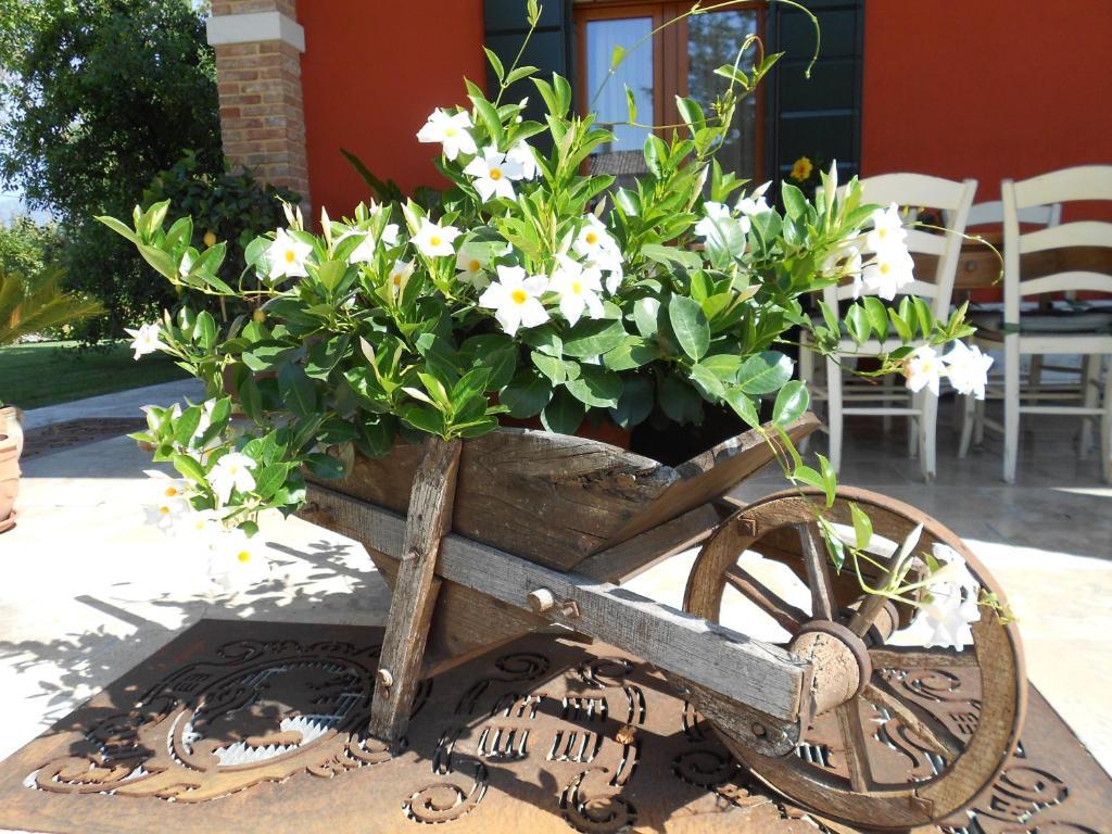 Villa Borgo D'Asolo San Vito Di Altivole Esterno foto