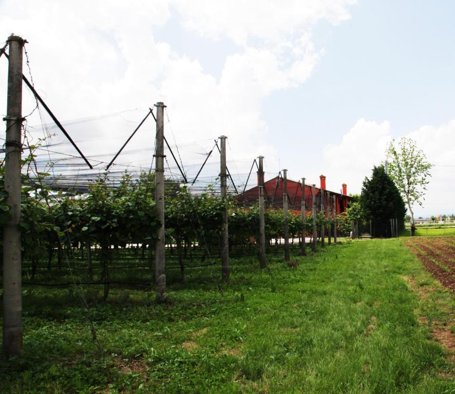 Villa Borgo D'Asolo San Vito Di Altivole Esterno foto